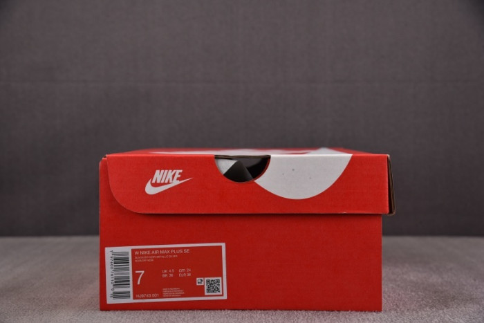 NK Air Max Plus SE Black Chrome-HJ9743-001