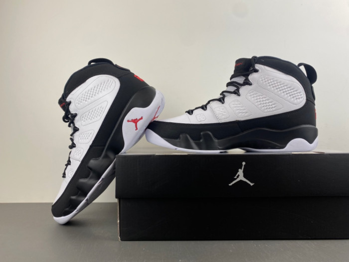Air Jordan 9