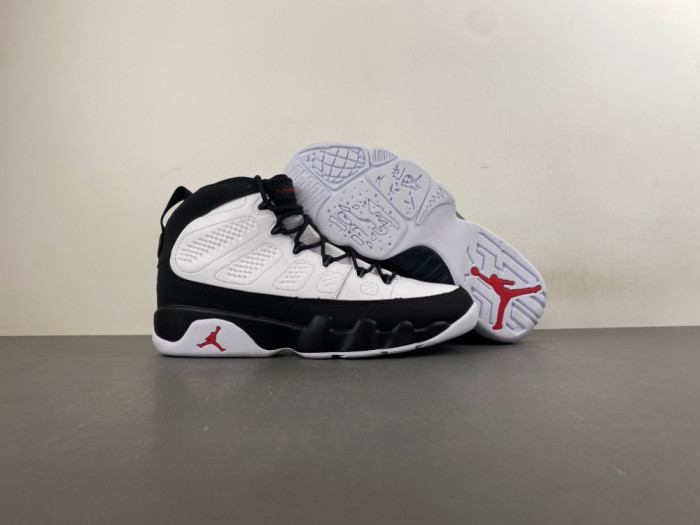 Air Jordan 9