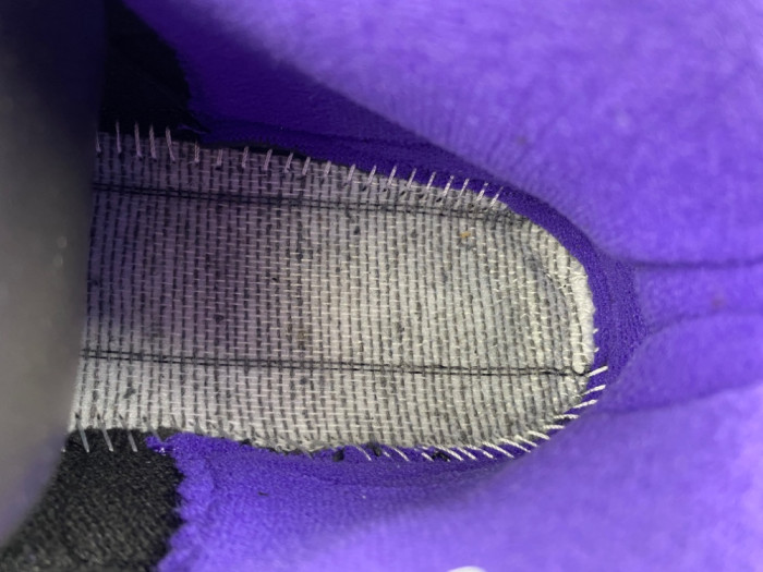 Air Jordan 10 OG Sacramento-130209-051