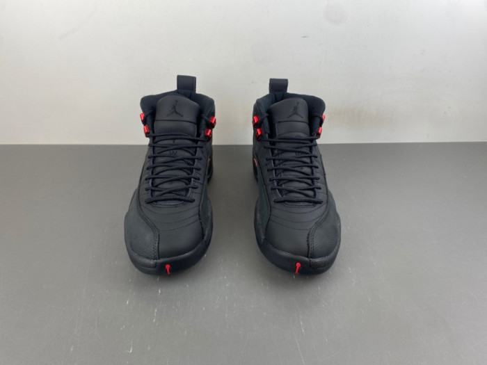 Jordan 12 Retro Bloodline-CT8013-003