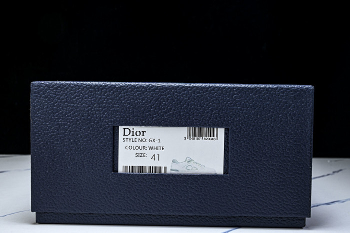 D10r B57 SNEAKERS-11