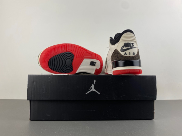 Jordan 3 Retro World