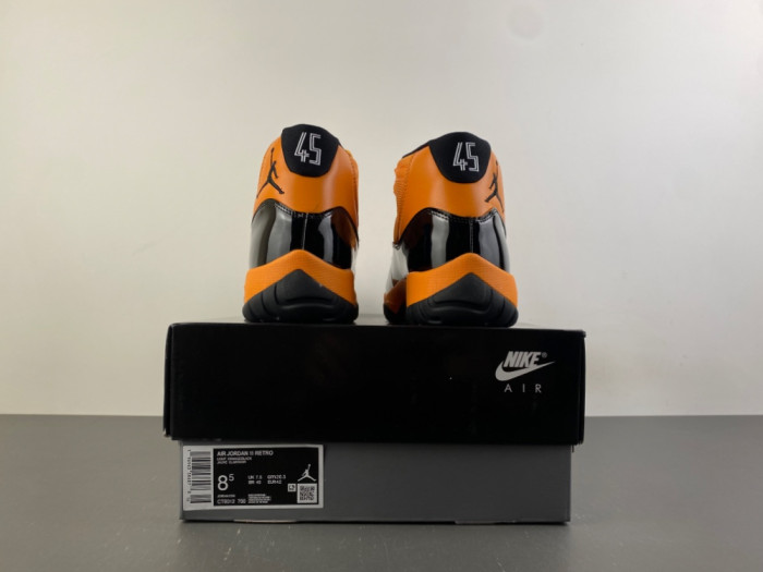 Air Jordan 11-CT8012-700