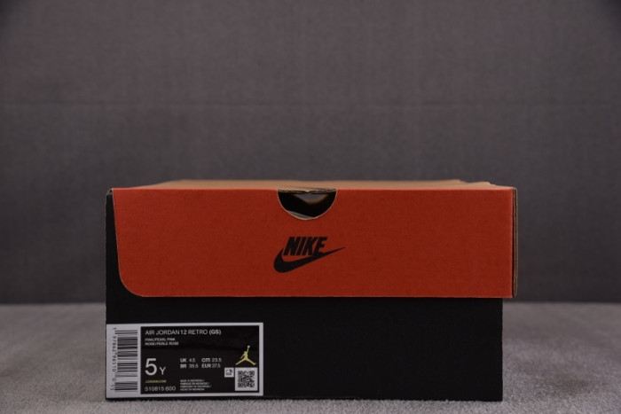 Air Jordan 12 Retro Pearl Pink (GS) -510815-60