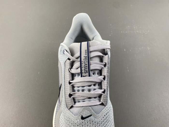 Nike Pegasus Premium-IR1815-012