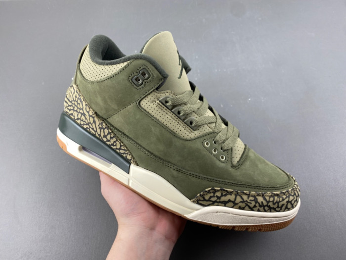 Jordan 3 Retro Family Affair-DN3707-202