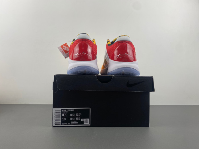 zoom kobe 5 protro 
